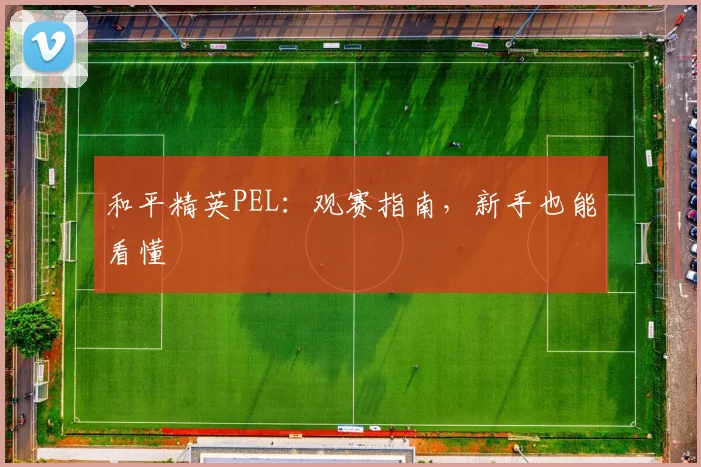 和平精英PEL：观赛指南，新手也能看懂