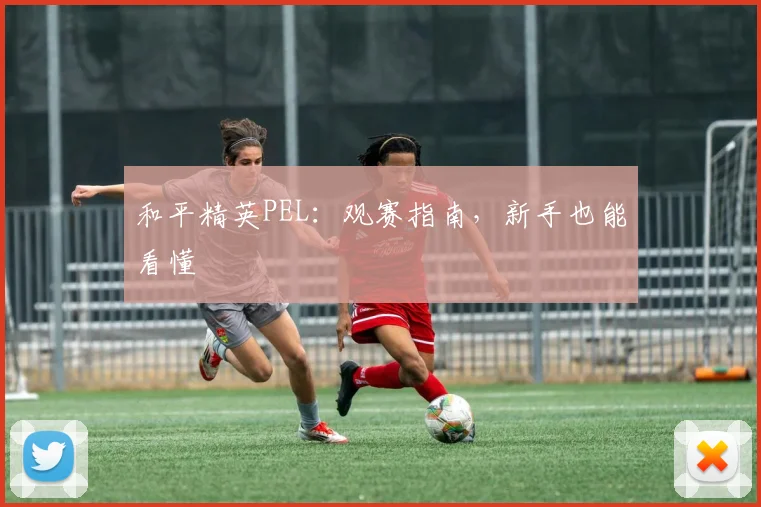 和平精英PEL:观赛指南,新手也能看懂